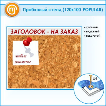 ��������� ����� � ����������, 120�100 �� (IN-06)